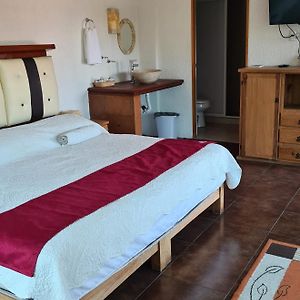 Suite con Cama King